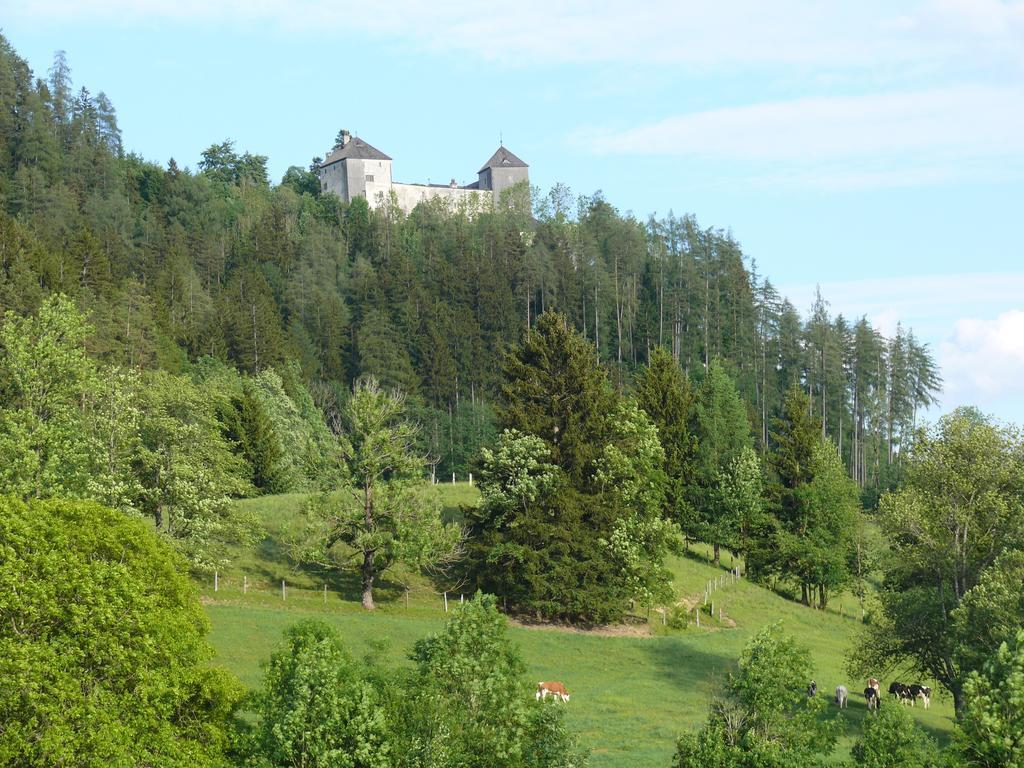 Hubertus Apartment Saalfelden